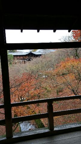 京都の紅葉