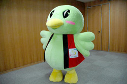 「サイバンインコ」に決定しました