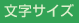 文字サイズ